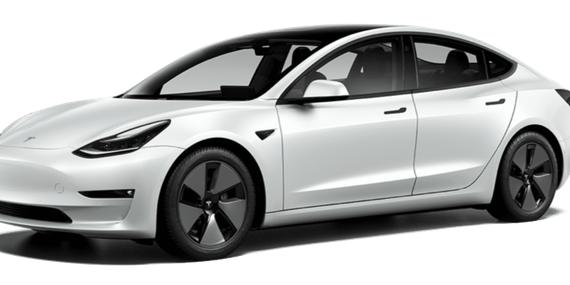 TESLA MODEL 3 2021 5YJ3E1EC3MF913544 image